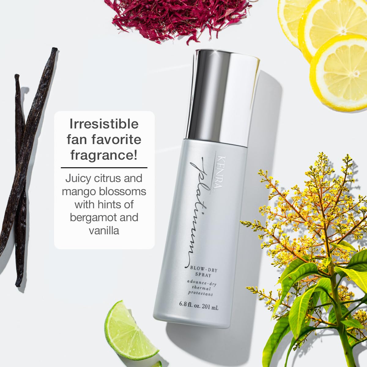 Kenra Professional Platinum Blow-Dry Spray | Time-Saving Heat Protectant | Detangles, Smooths, and Softens | Eliminates Frizz & Resists Humidity | Medium To Coarse Hair | 6.8 fl. oz