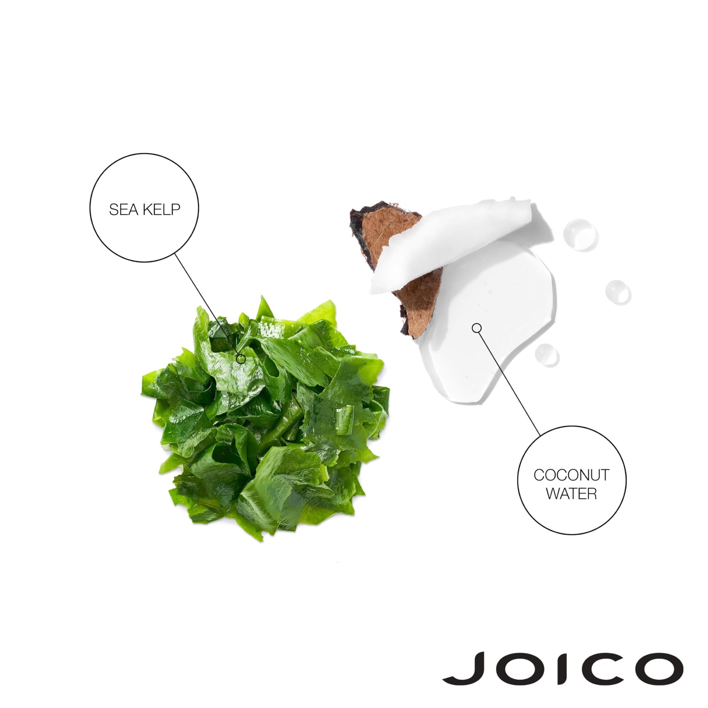 Joico HydraSplash 保湿护发素 | 适用于细软、中等和干燥发质 | 补充水分 | 增加水分和柔软度 | 蕴含海藻和椰子水 | 33.8 液体盎司