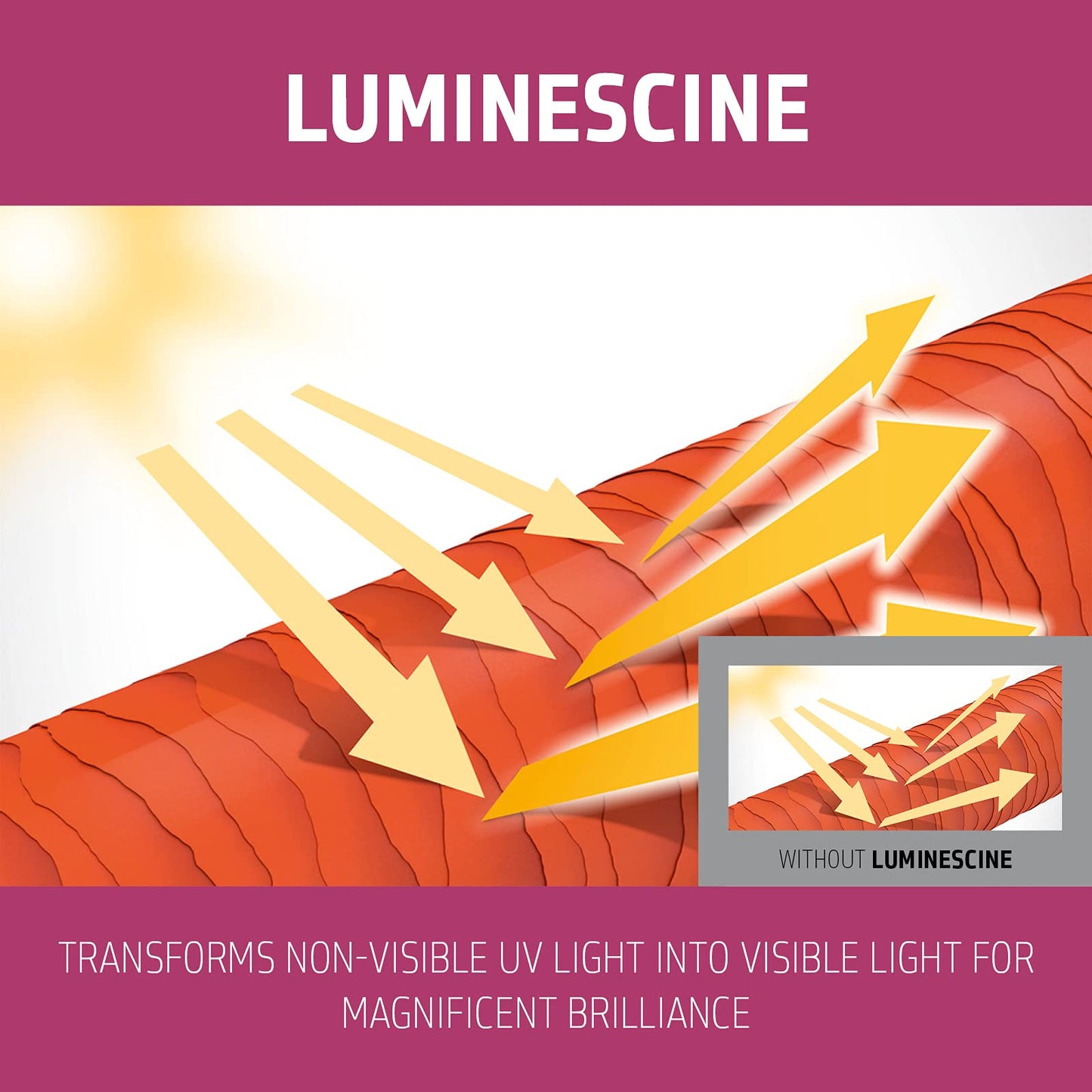 Goldwell Dualsenses 炫彩亮彩护发素 1L