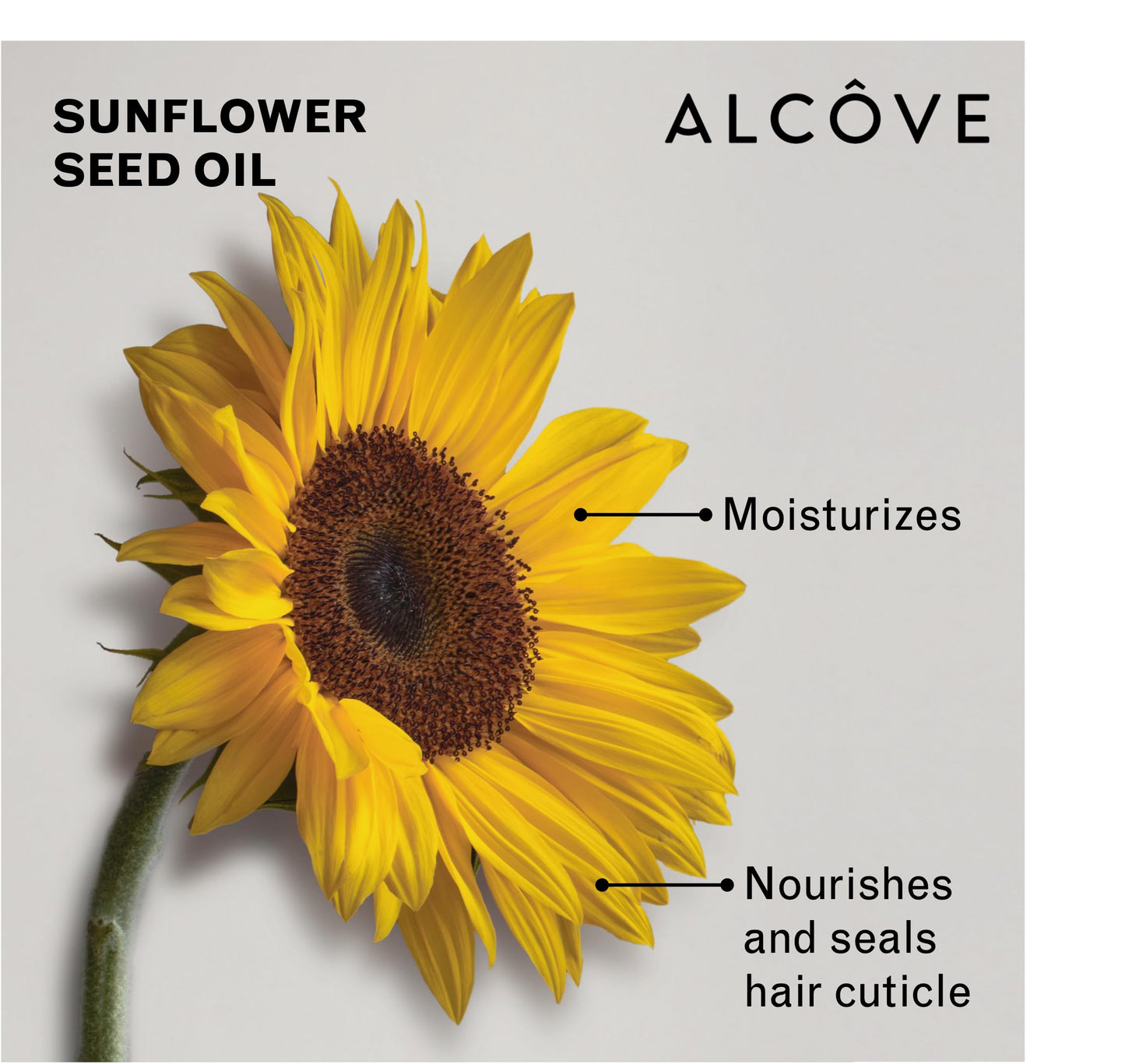 Alcôve - Curl Activator for Curly Hair - Argan Oil, Pomegranate Seed & Mango Extract - Curl Defining Cream for Wavy Hair - Anti Frizz - Moisturizing Curl Enhancer - Effective in High Humidity - 250ml