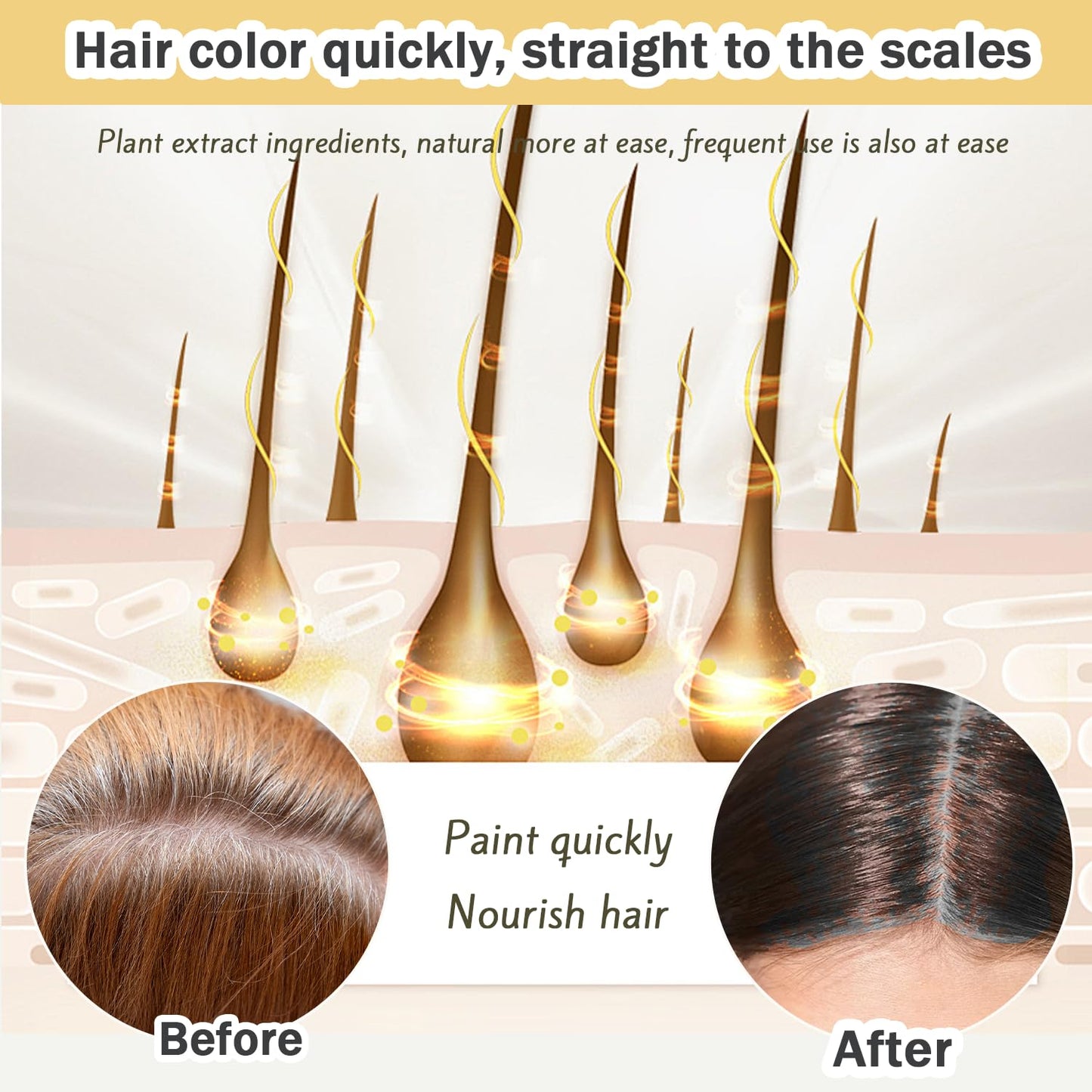 Seashell Nova Hair Dye Shampoo,Nova Hair Instant Dye Shampoo,Nova Hair Dye Shampoo 3 in 1, for Men & Women (Black)