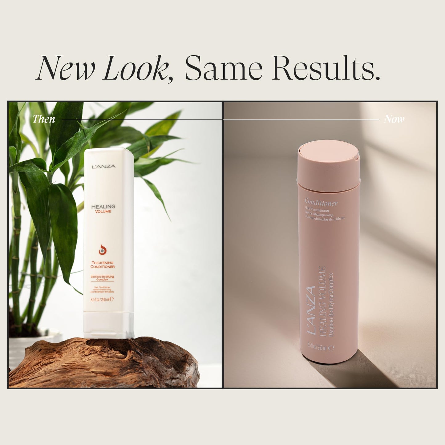 L'ANZA Healing Volume Thickening Conditioner, Boosts Shine, Volume, and Thickness of Fine Flat Hair, Hair Thickening Conditioner Rich With Bamboo and Keratin, Luxury Hair Care