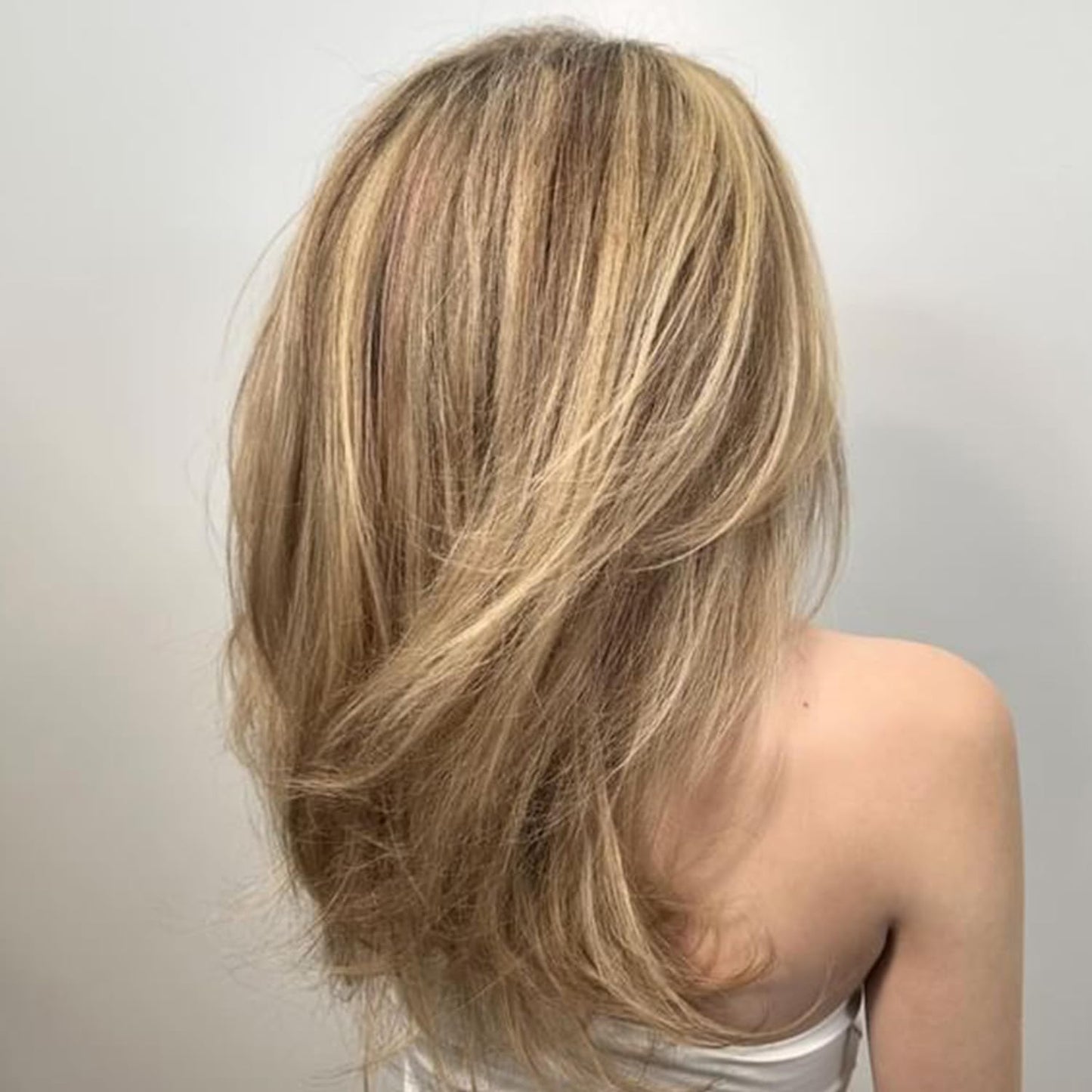 Light Gray Alcôve - Volumizing Shampoo - Evening Primrose Oil, Mango Extract, and Argan Oil - Sulfate-Free - Fine and Thin Hair - Lightweight Volume - Color-Safe -10oz