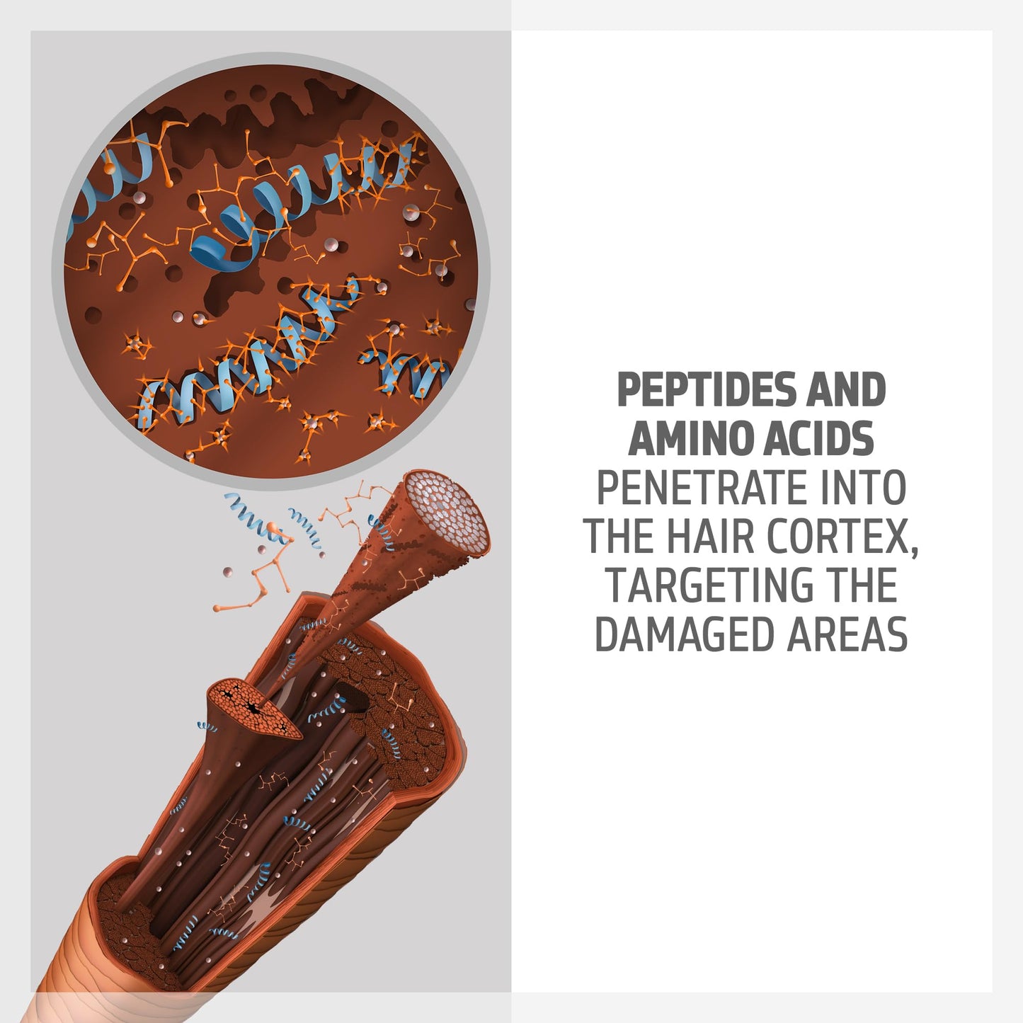 Goldwell Dualsenses Bond Pro 强效洗发露 300ml