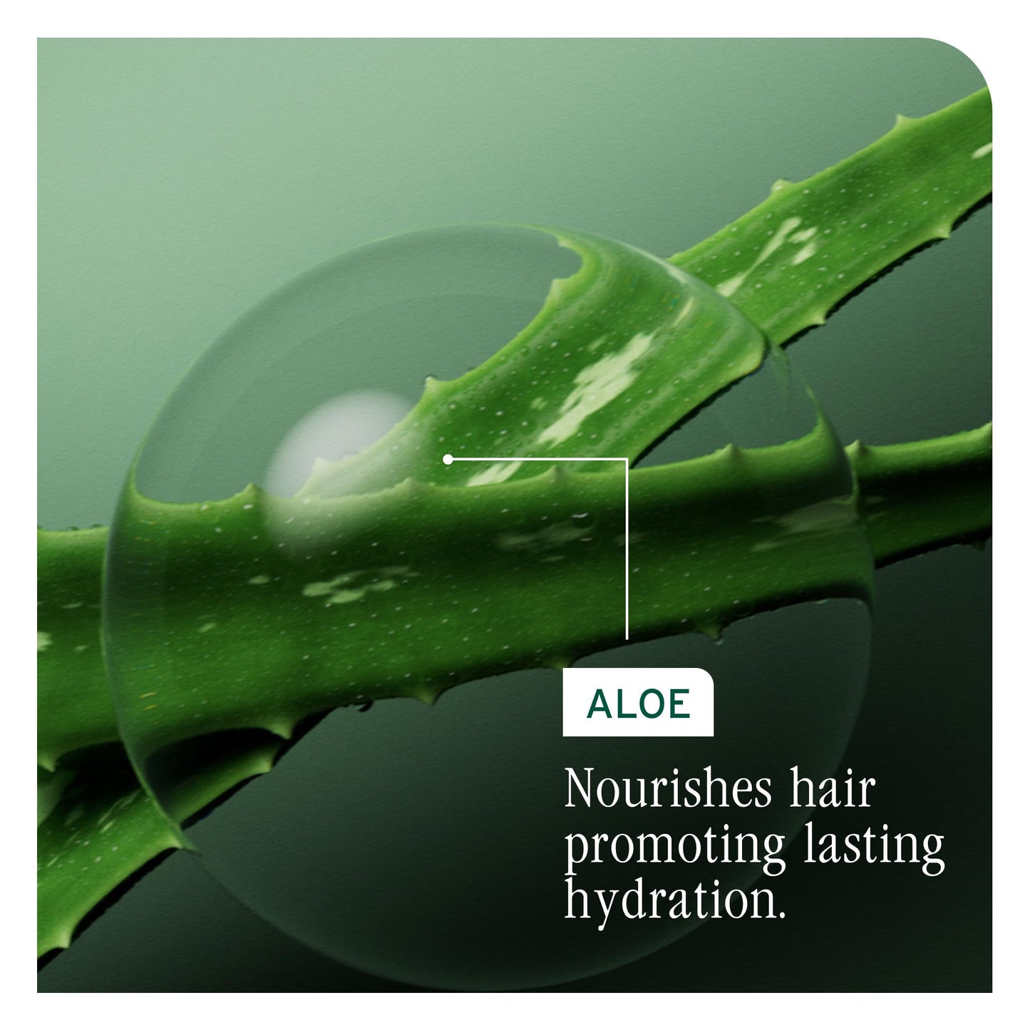 Dark Sea Green Biolage Hydra Source Leave-In Cream - Instantly Moisturizes & Seals Split Ends, For Dry Hair, With Micro-Filtered Aloe Vera & Fermented Hyaluronic Acid, 6.8 Fl Oz, packaging may vary