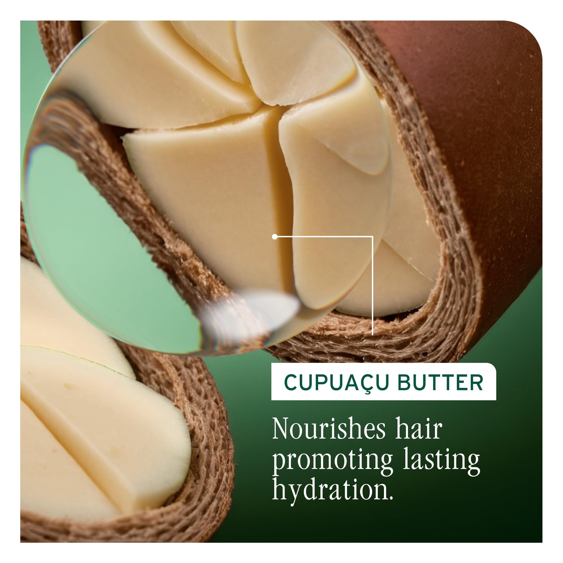 Dark Khaki Biolage Ultra Hydra Source Shampoo - Deeply Moisturizes Very Dry Hair, For Thick, Coarse Hair, Infused with Micro-dosed with Cupuaçu Butter & Salicylic Acid