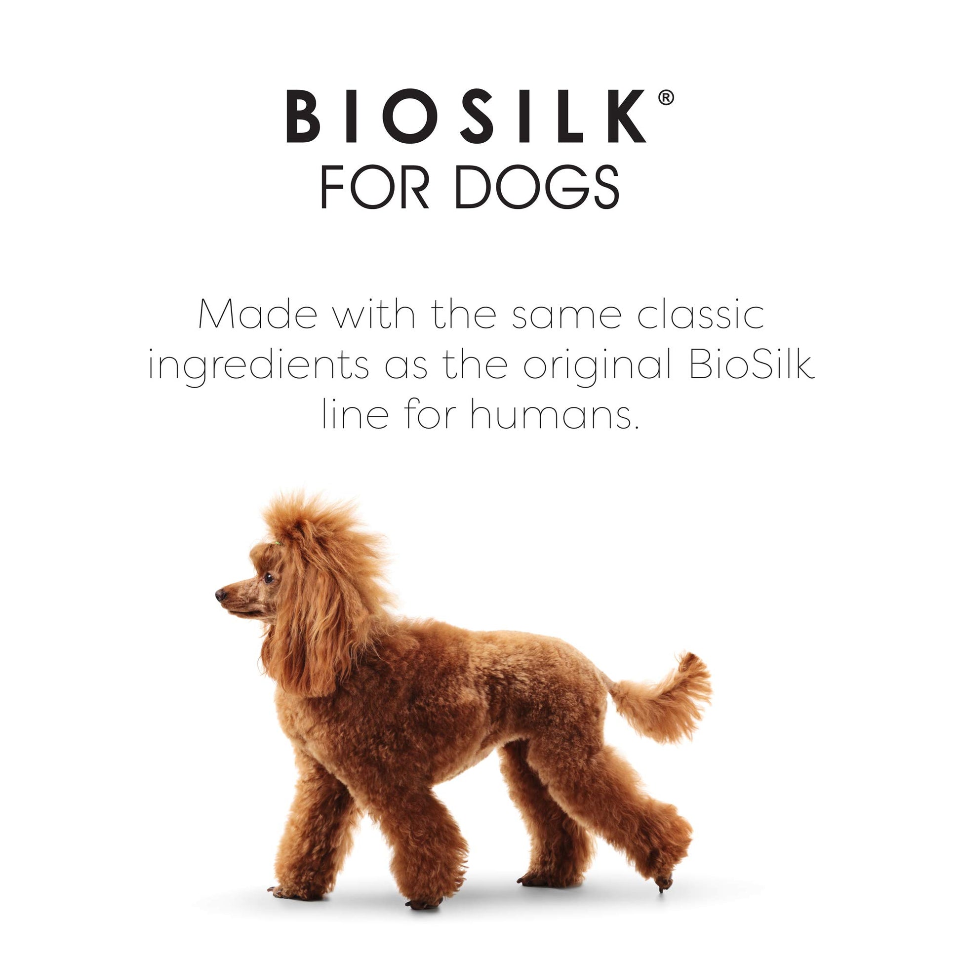 White Smoke BioSilk for Dogs Silk Therapy Shampoo with Organic Coconut Oil | Coconut Dog Shampoo Waterless Shampoo | Dry Dog Shampoo from Silk Therapy for Fresh Dog Coats,Beige