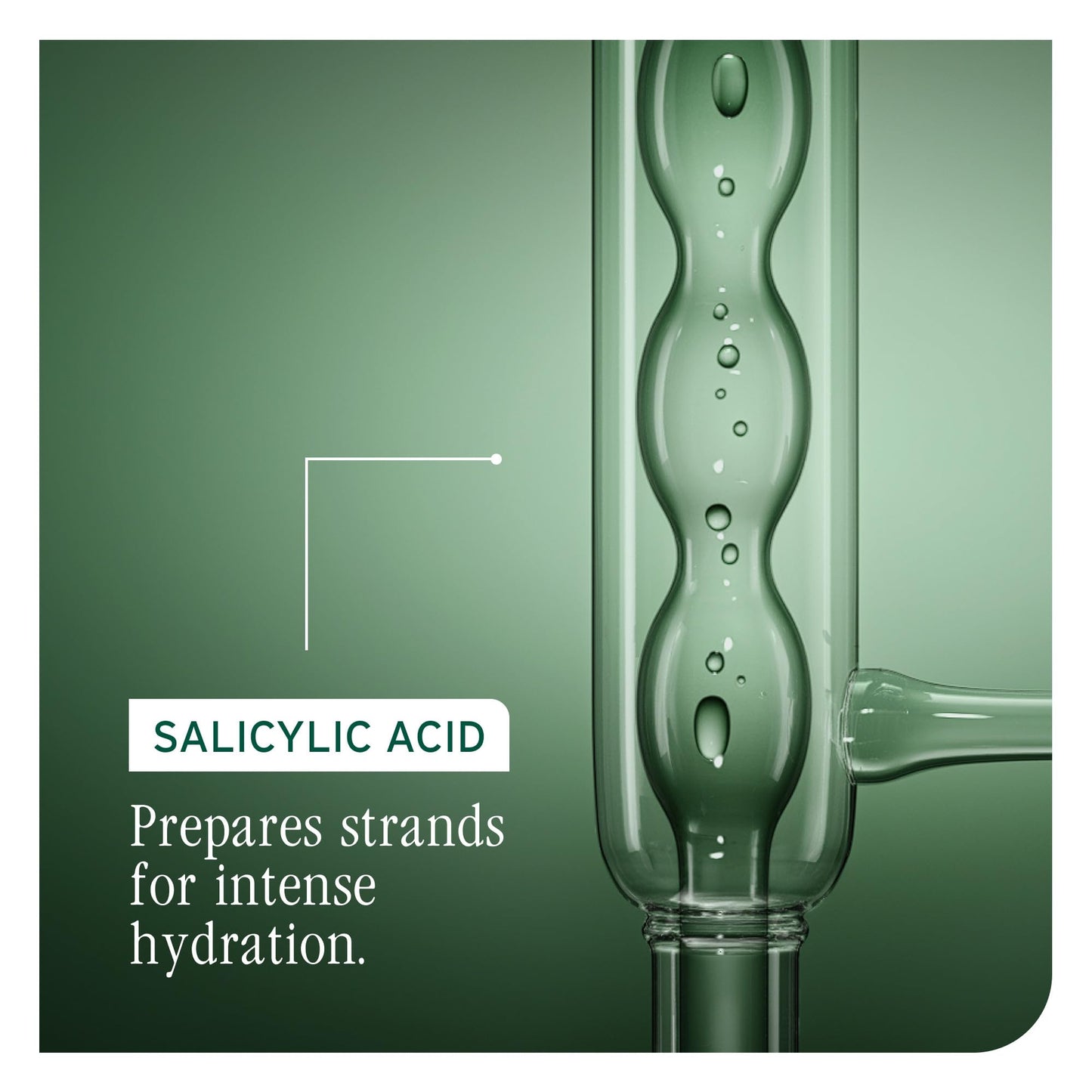 Dark Olive Green Biolage Ultra Hydra Source Shampoo - Deeply Moisturizes Very Dry Hair, For Thick, Coarse Hair, Infused with Micro-dosed with Cupuaçu Butter & Salicylic Acid