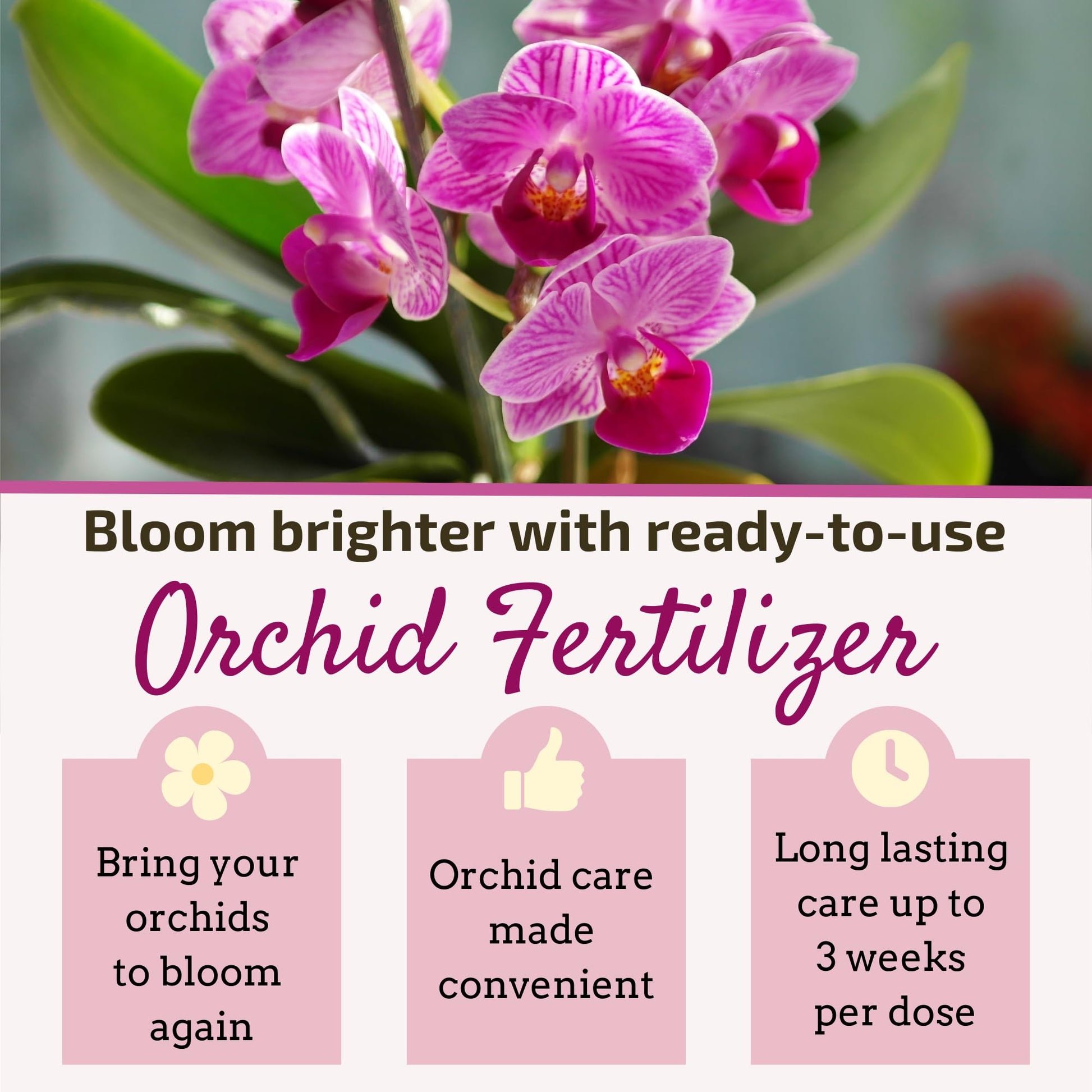 White Smoke The Green Alcove Liquid Orchid Fertilizer Spikes | Ready-to-Use Orchid Food for Blooming, Fertilizer for Orchids (8 Drip Feeders)