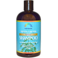 Rainbow Research Henna With Biotin Highlighting Shampoo - 12 fl oz