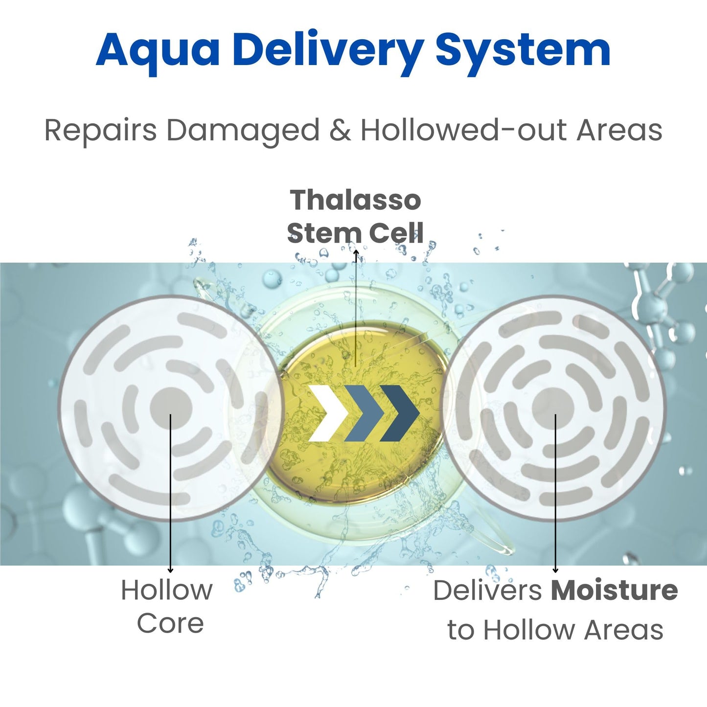 8 THE THALASSO Smooth Series: Normal to Oily Hair Treatment Mask, UniqueThalasso Stem Cells with Deep Sea Water & Marine Collagen, Moisturizing & Smoothing, 200g/7.056 fl oz