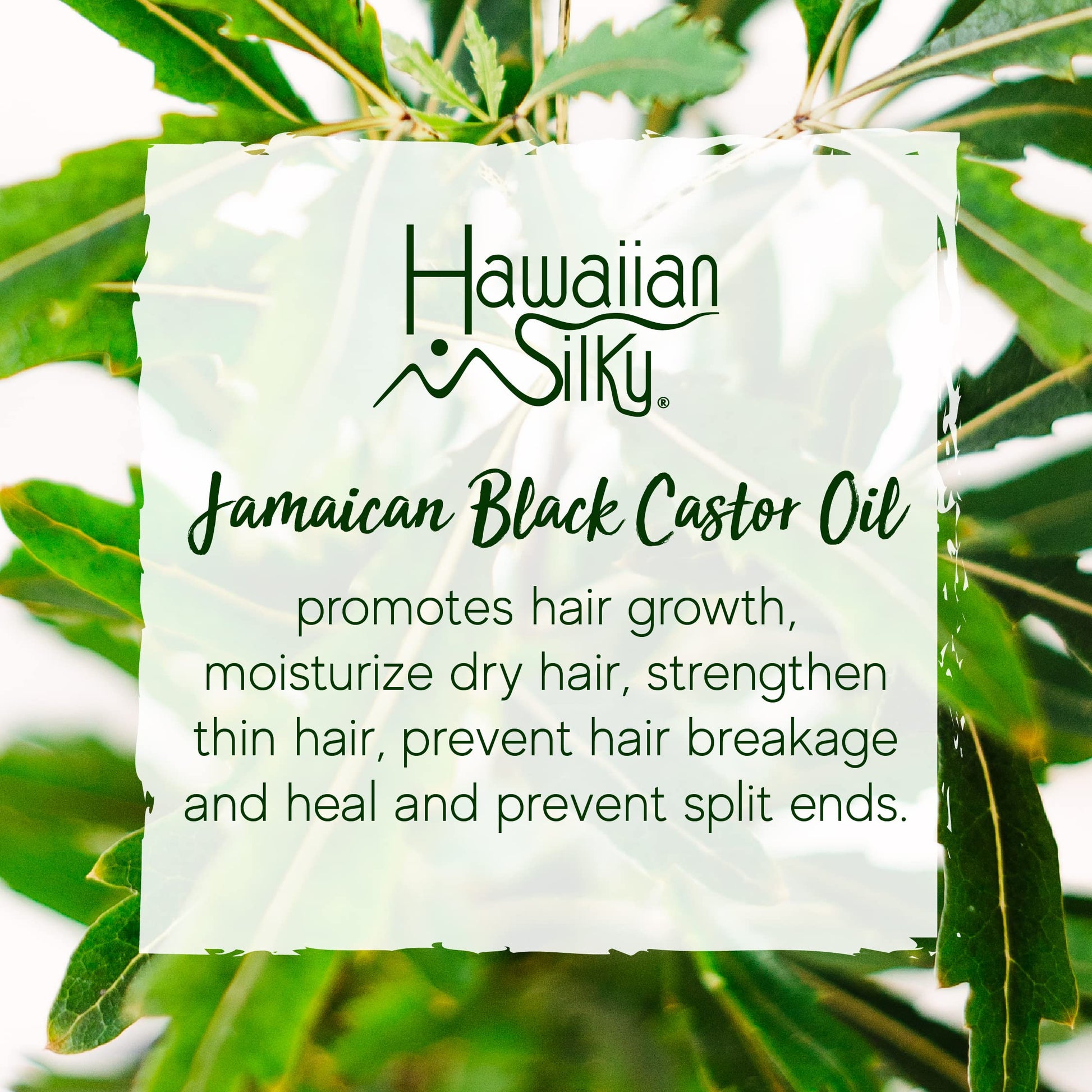 White Smoke Hawaiian Silky Jamaican Black Castor Oil Collection Moisture Repair Shampoo