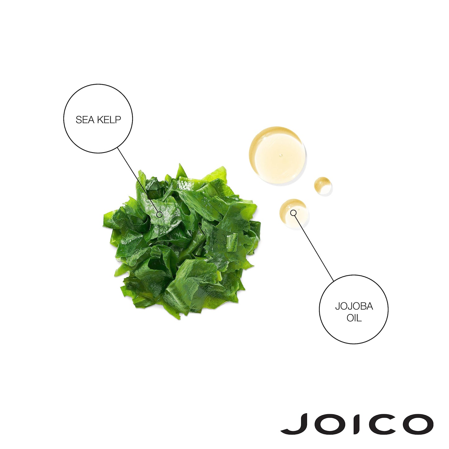 Joico 保湿修护洗发水和护发素套装 | 补充流失水分 | 适用于浓密、粗糙和干燥的头发