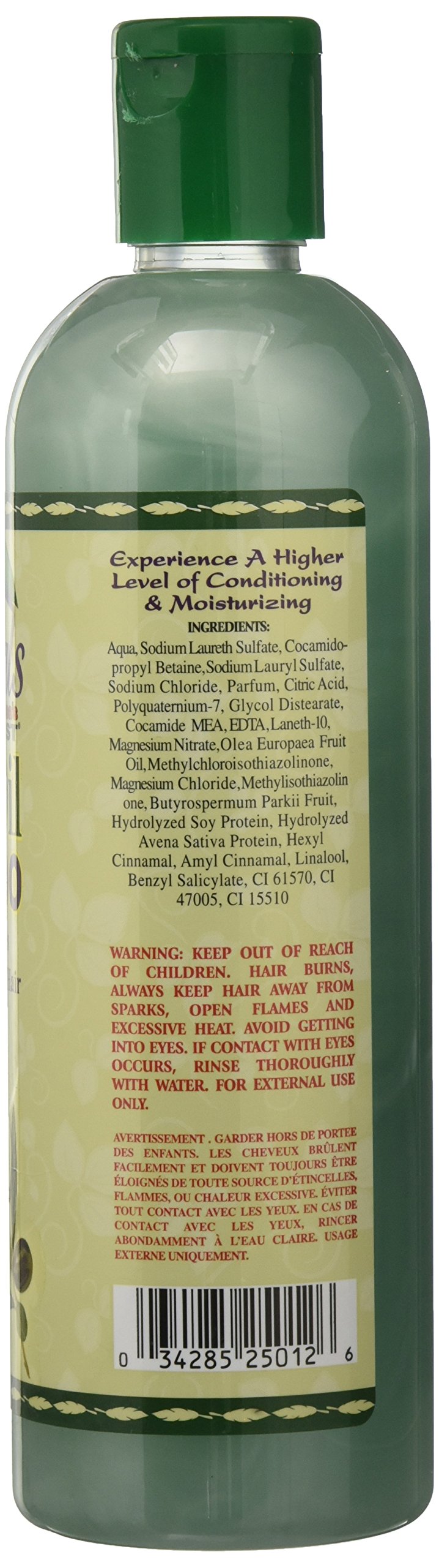 Originals by Africa's Best Olive Oil Shampoo, Formulated With Extra Virgin Olive Oil, Moisturizes, Stimulates Thinning Hair, Revitalizes Dry, Itchy Scalp, 12 oz