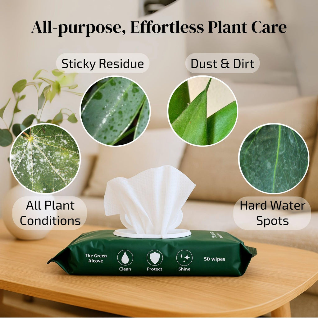 The Green Alcove Plant Leaf Cleaner & Leaf Shine, Plant Cleaner | 2 Pack of 50 (Total 100 Count)