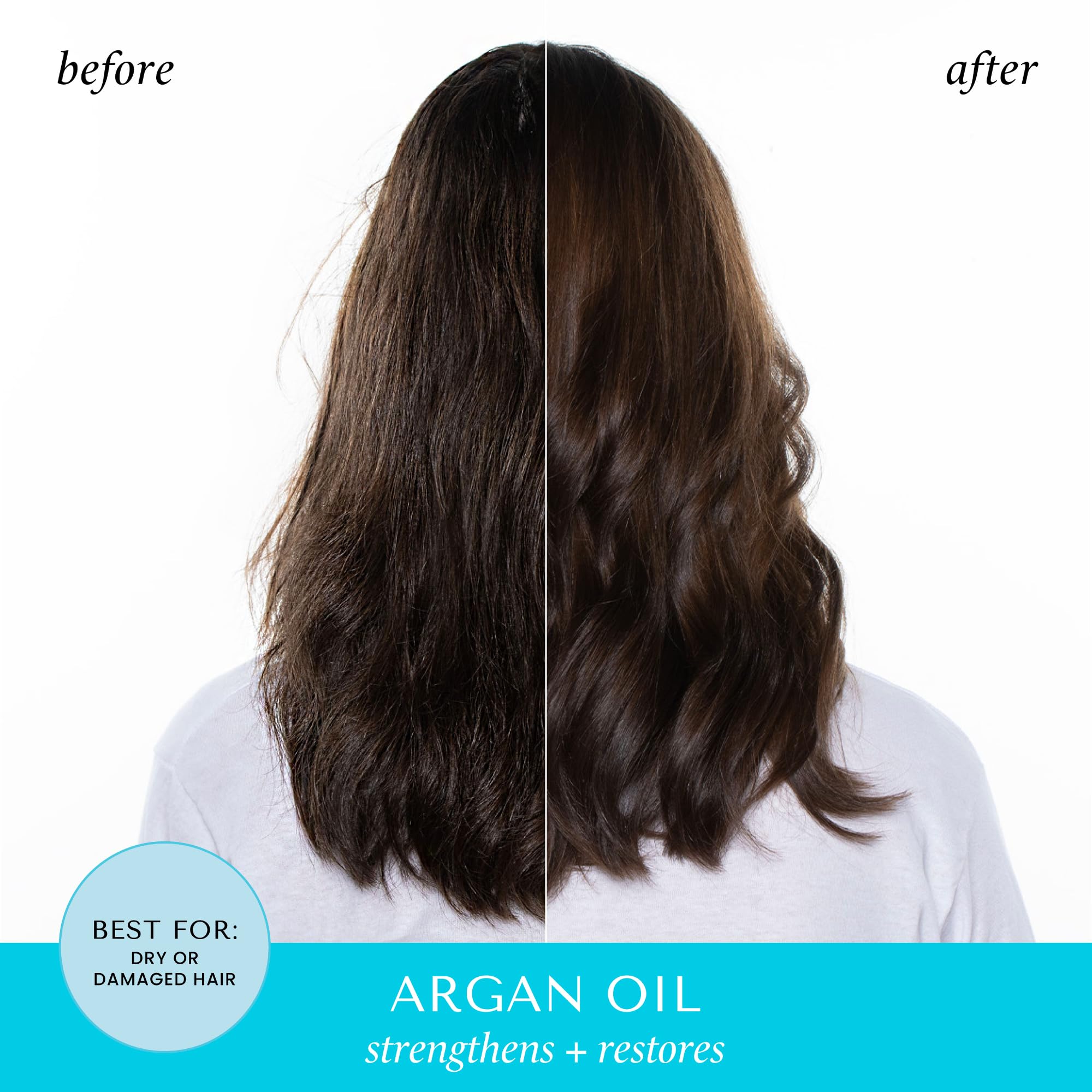 HASK Argan Oil Reparing Shampoo, 12 Fl Oz