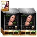 Herbishh Natural Hair Dye Shampoo with Argan Mask - Long-Lasting Color for Gray Hair - Travel Size, 10+1 Pack, Ammonia-Free (Black)