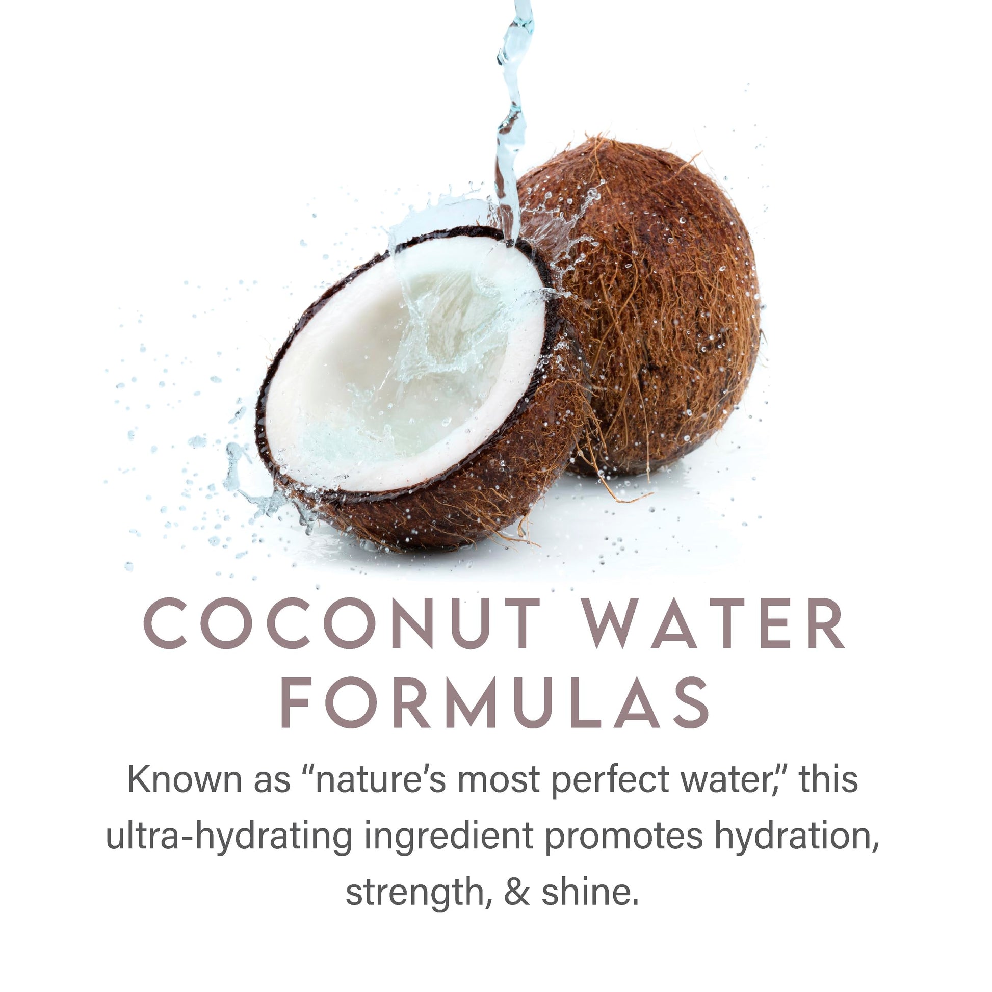 White Smoke ALURAM Curl Shampoo, Clarifying Coconut Water Infused and Lightweight Cleansing For Curly Hair, 12 Fl Oz