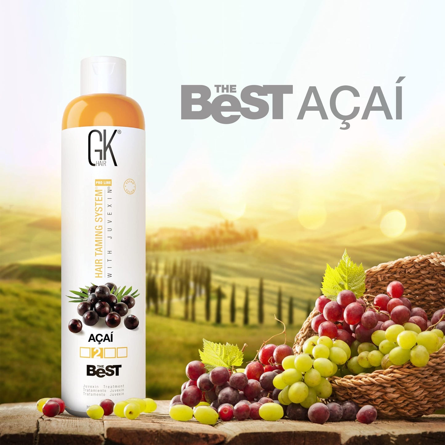 GK HAIR Global Keratin The Best ACAI (10.1 Fl Oz/300ml) Brazilian Professional Smoothing Keratin Hair Treatment for Dry Damage Frizzy and All Type of Hairs