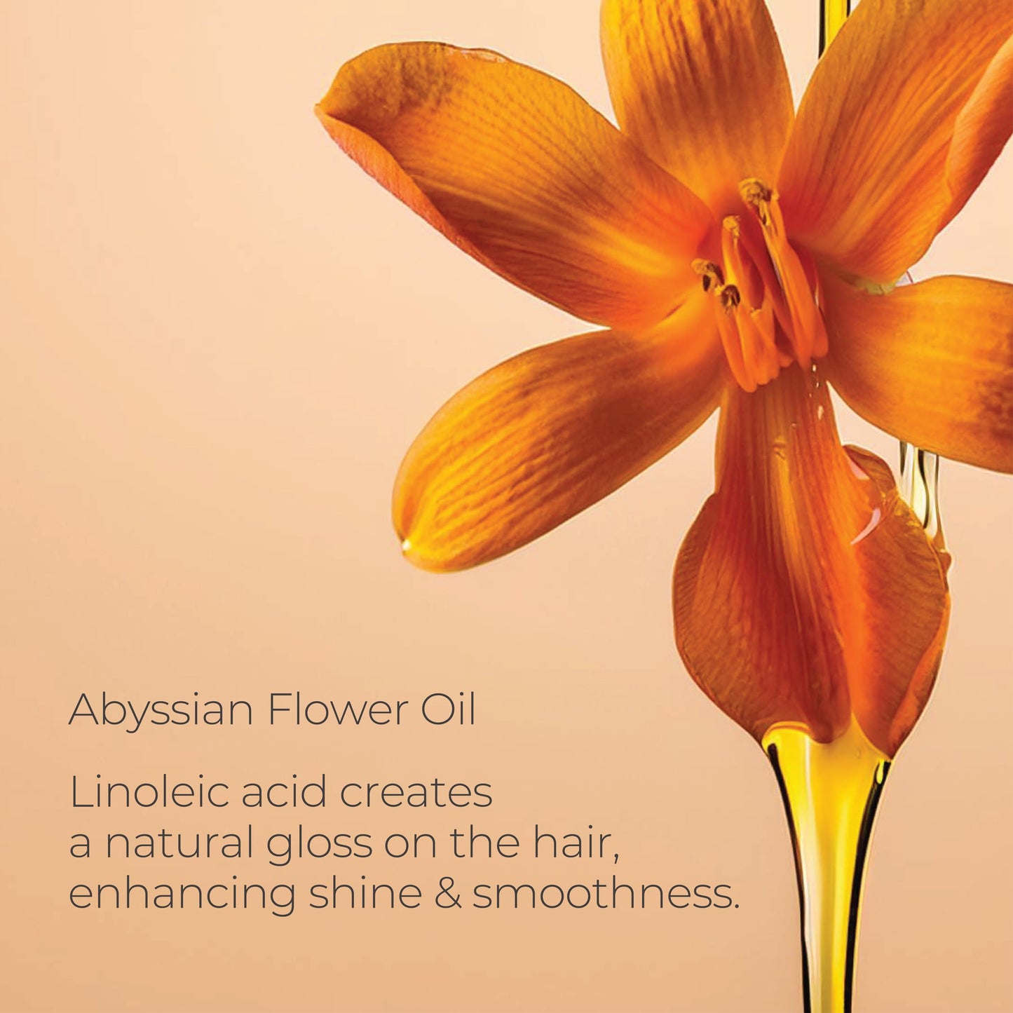 L'ANZA Keratin Healing Oil Lustrous Conditioner, Deep Conditioner for Dry Damaged Hair, Repairs & Boosts Hair Shine & Strength, Sulfate Free, Cruelty Free, Paraben Free Hair Care