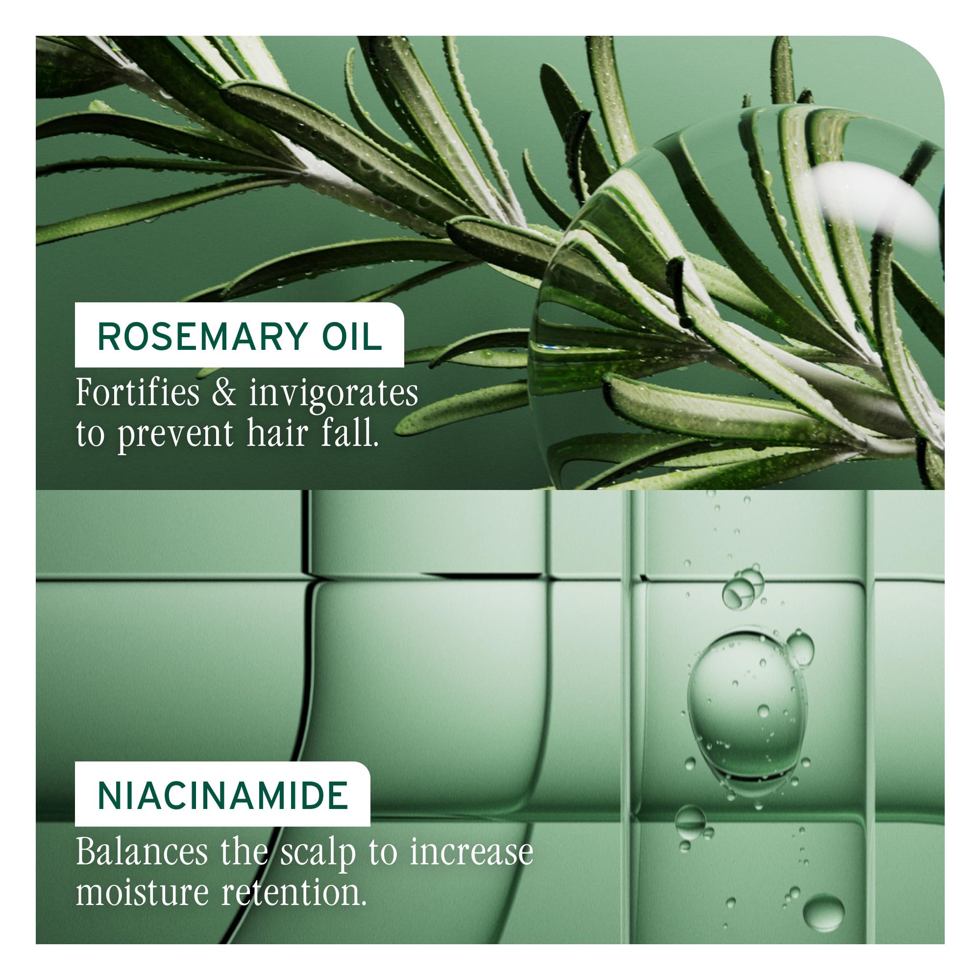 Biolage Full Rescue Restorative Hair Mask for Thin Hair - Strengthens & Conditions for Fuller-Looking Hair, Rosemary Oil & Niacinamide, Vegan & Cruelty-Free, Silicone-Free, 16.9 Fl Oz