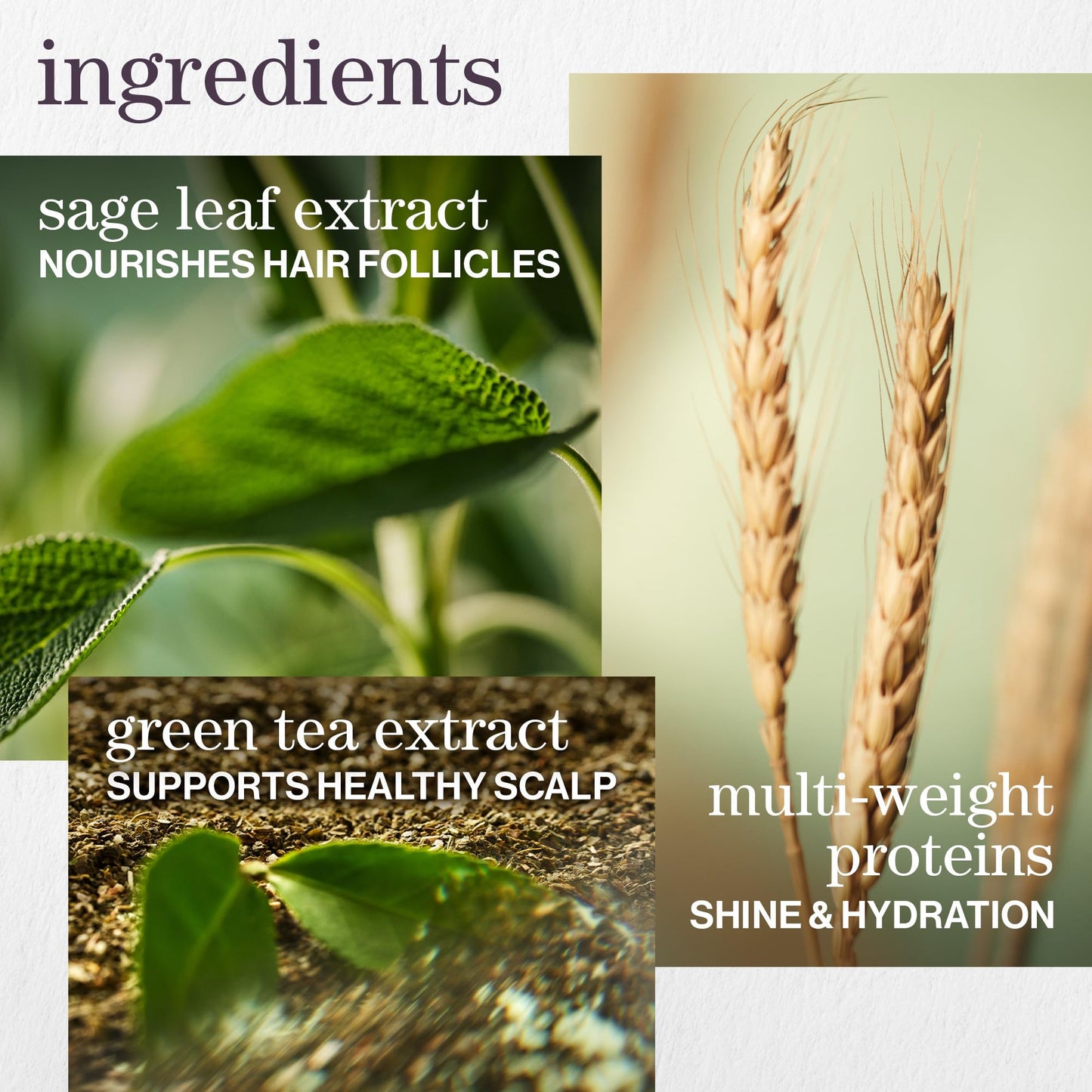 Pureology Hydrate 保湿护发素 | 适用于中厚至干性、染发 | 不含硫酸盐 | 纯素