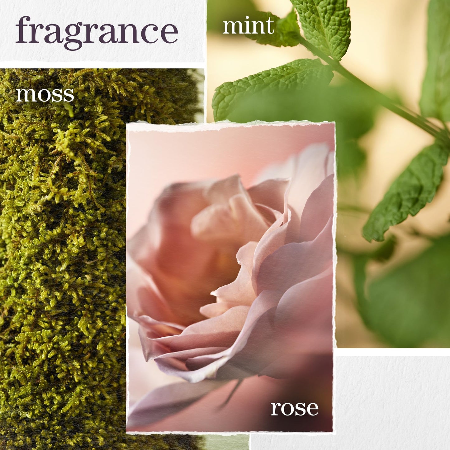 Pureology Hydrate 保湿护发素 | 适用于中厚至干性、染发 | 不含硫酸盐 | 纯素