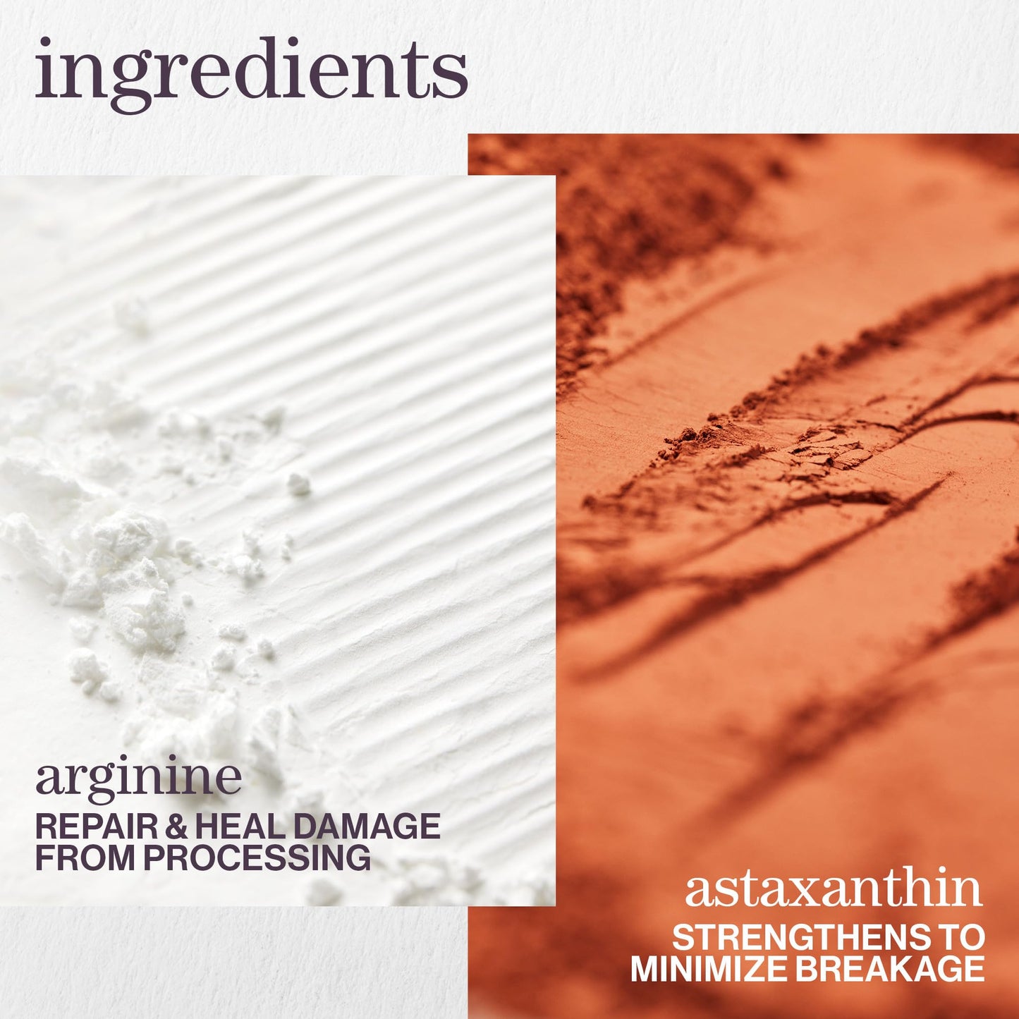 Pureology Strength Cure Shampoo - For Damaged or Color Treated Hair, Strengthens & Prevents Breakage, Seals Split Ends, Vegan & Sulfate-Free, 9 Fl Oz