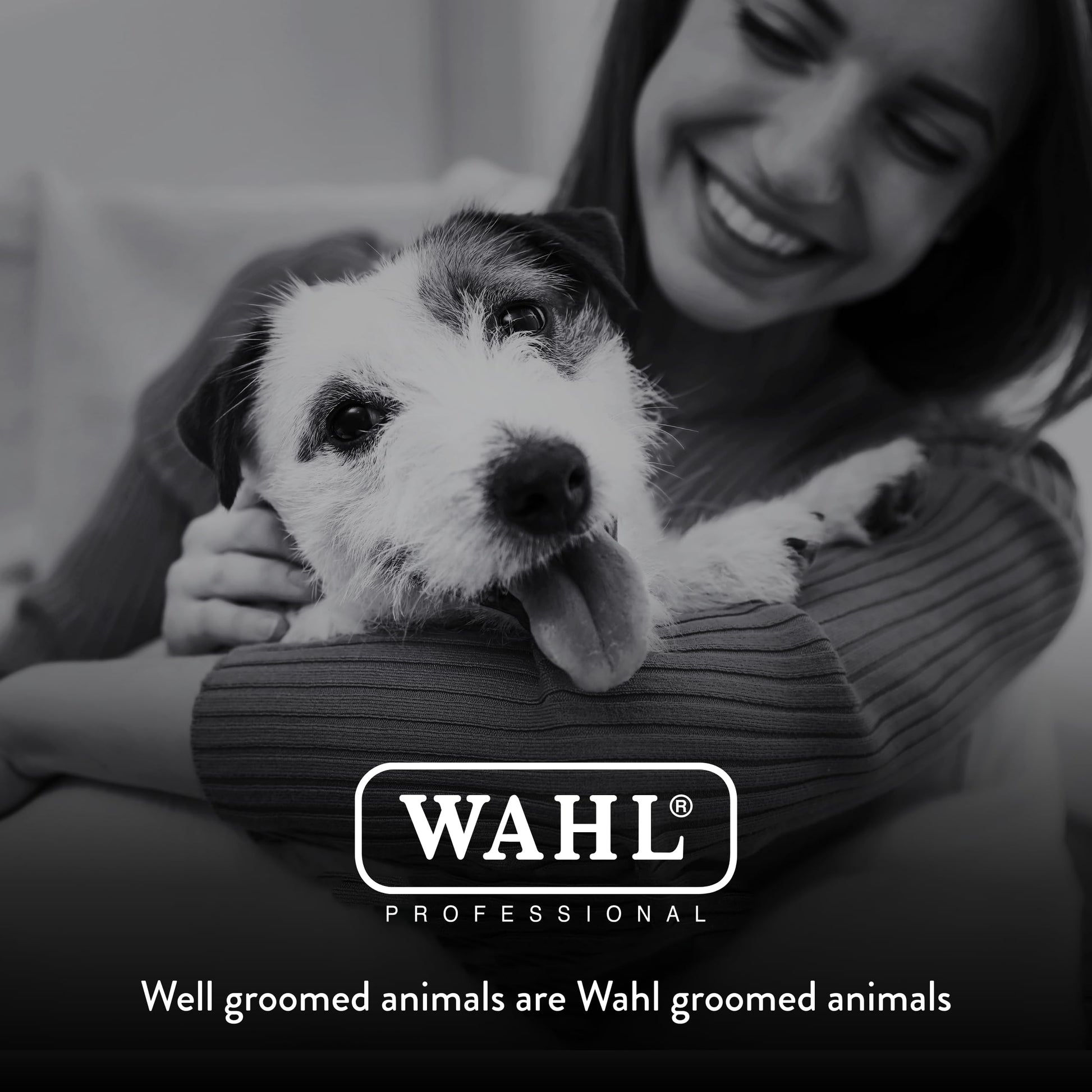 Black Wahl Professional Animal Bravura Pet, Dog, Cat, and Horse Corded/Cordless Clipper Kit, Purple (#41870-0423)