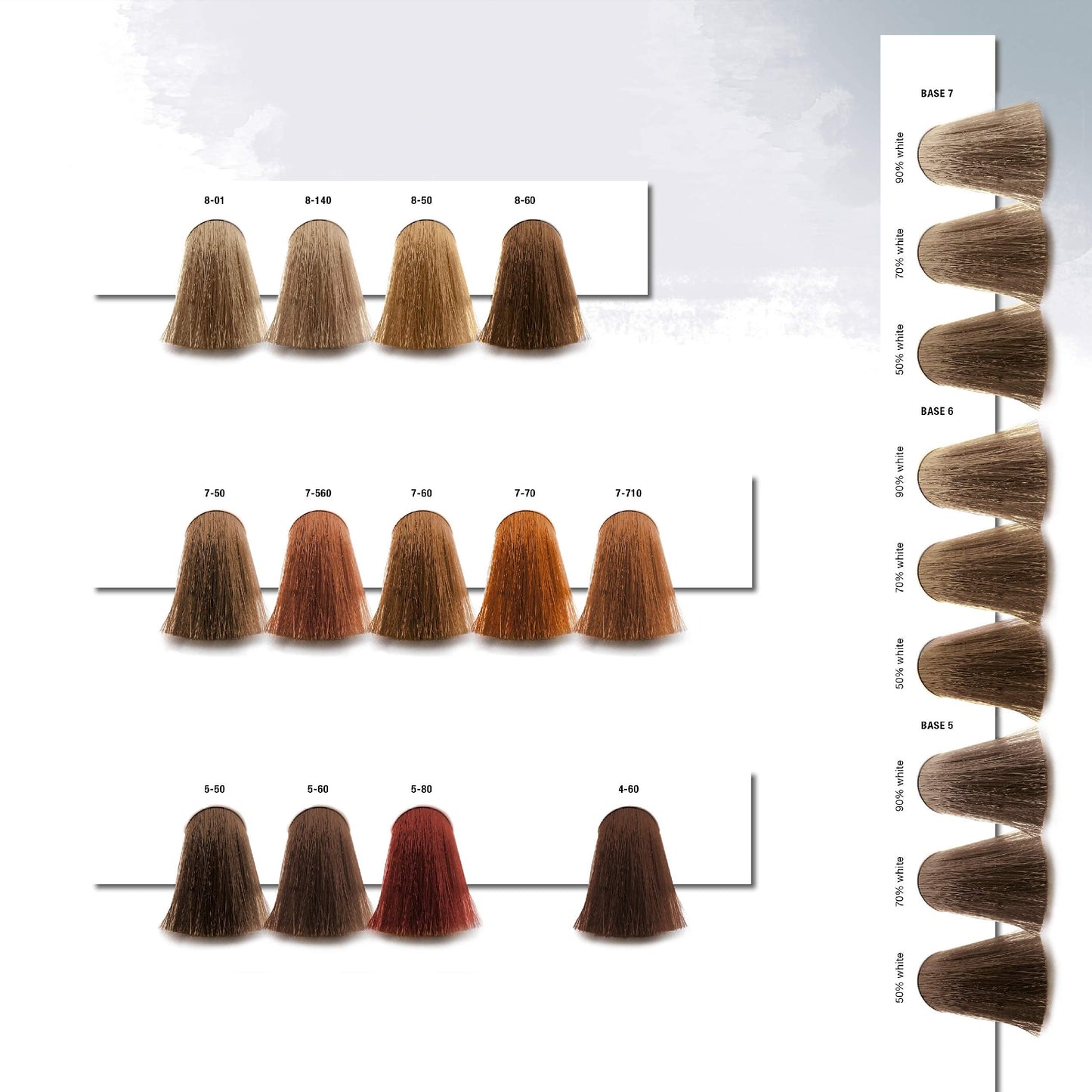 Igora Royal Absolutes 8-50 浅金色自然永久抗衰老染发膏 60 克，100% 白发覆盖率和 M Hair Designs 染发刷黑色（2 件套装）