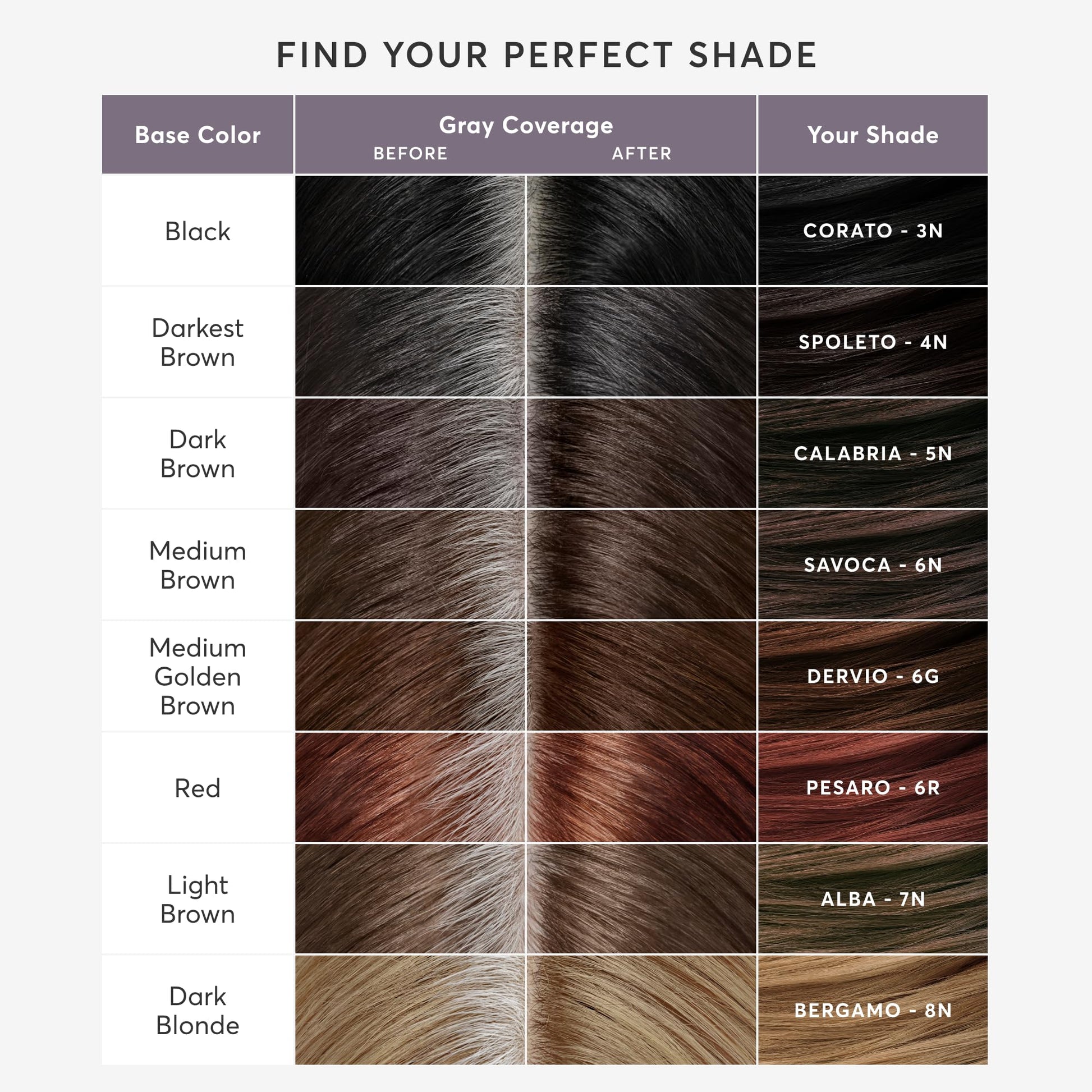 White Smoke Madison Reed Root Perfection Root Touch Up Kit – 4N Spoleto Darkest Brown, 100% Gray Coverage in 10 Min, Ammonia-Free, 2 Applications