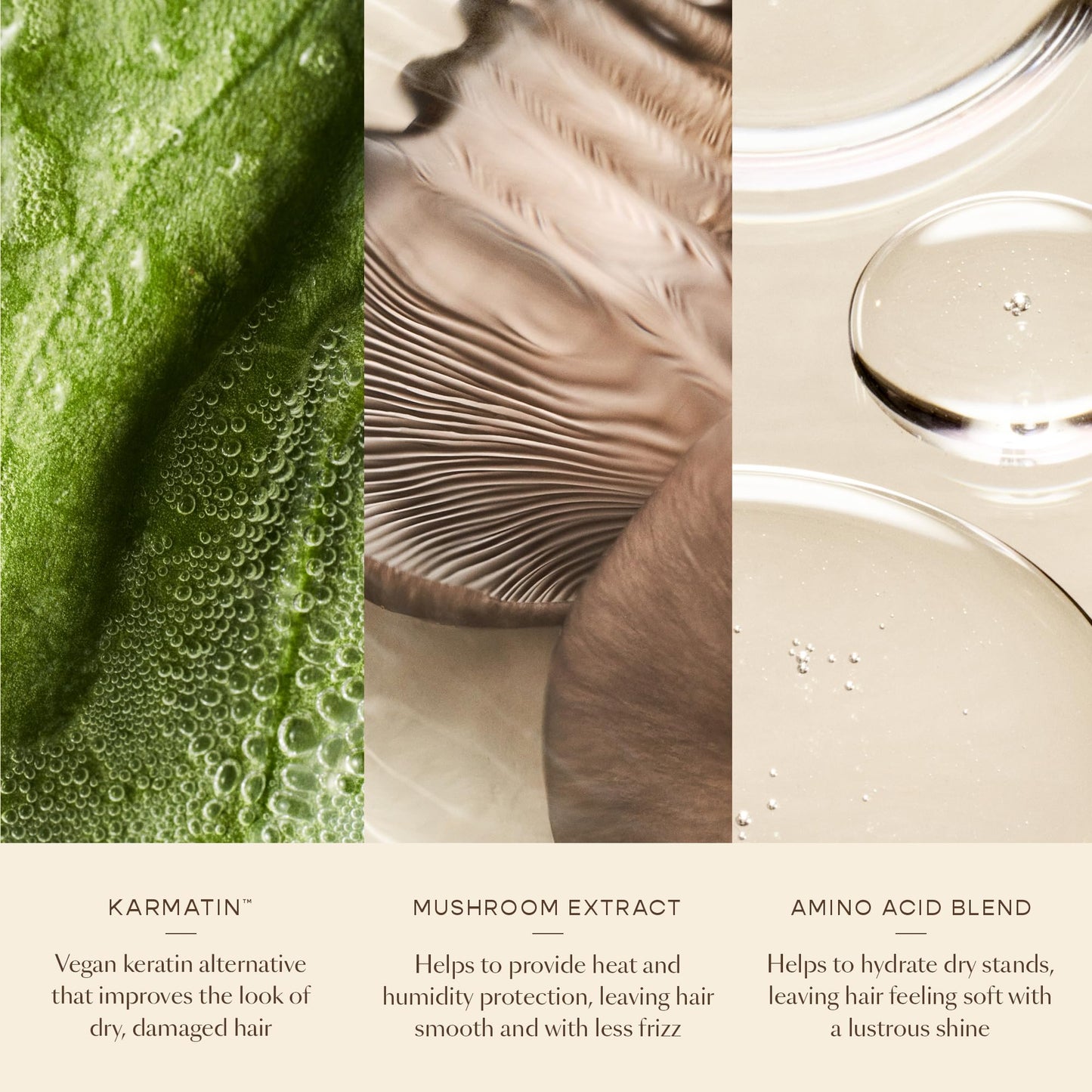 VEGAMOUR HYDR-8 Leave-In Conditioner, for Deep Hydration & Heat Protection, with Vegan Keratin, for Soft, Silky, Frizz Free Hair, 5 fl oz