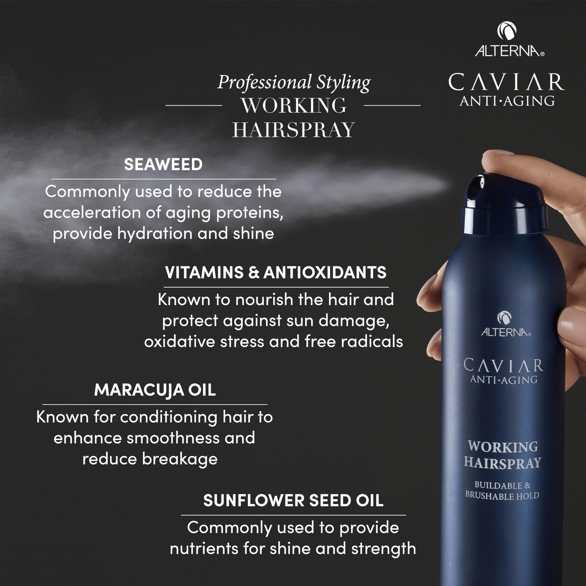 Dark Slate Gray Alterna Caviar Working Hairspray | Buildable, Brushable Hold | Helps Control Frizz & Adds Shine | Sulfate Free, 7.4 Fl Oz (Packaging May Vary)