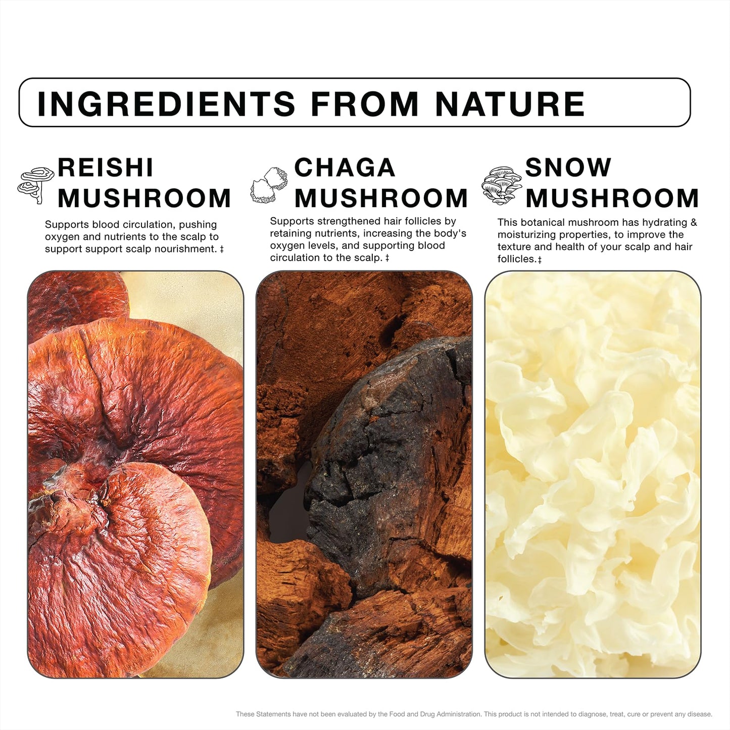 IMARAÏS Beauty Grow Haircare Gummy - Organic Functionable Mushrooms to Support Healthy Hair Growth & Nourish Scalp - Chaga, Reishi, Snow Mushroom - Blueberry Flavored, Sugar-Free, 60 Gummies