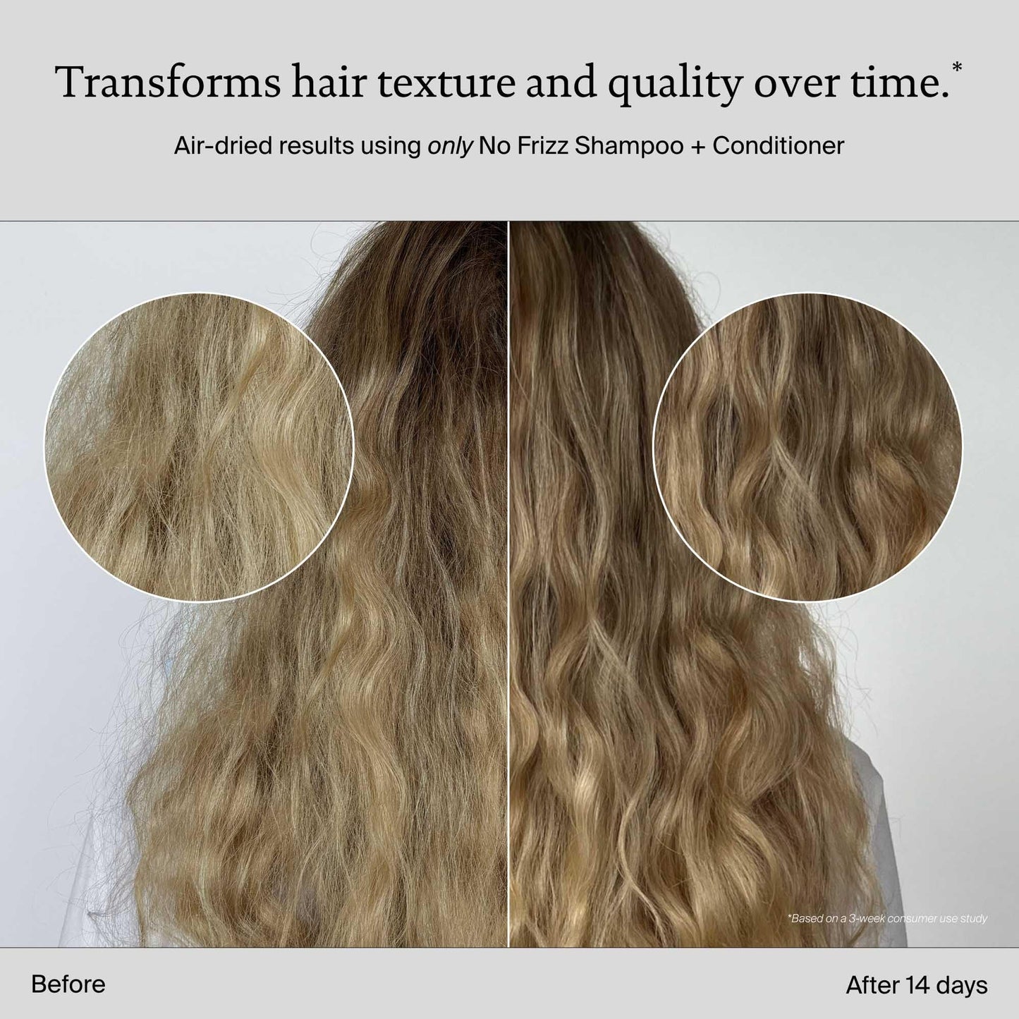 Light Gray Living Proof No Frizz Shampoo Controls Frizz, Smoothes and Softens Hair for All Hair Types, 8 oz