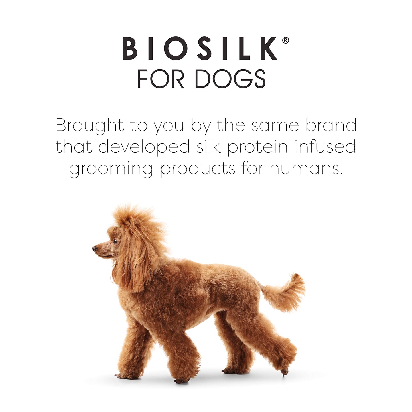 White Smoke BioSilk for Dogs Eco-Friendly Boar Hair Bristle Brush in Mint Green | Easy to Hold Ergonomic Handle Dog Brush for Shedding | Best Pet Brush for Dog Grooming