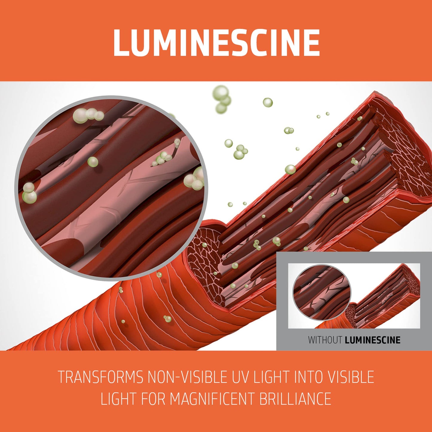 Goldwell Dualsenses Color Revive 护色素 冷棕色 200ml