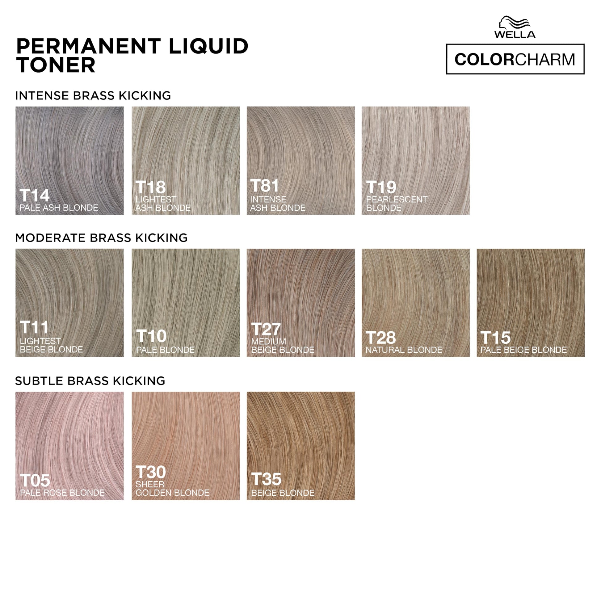 White Smoke COLORCHARM Permanent Liquid Toners | Neutralize Brass | Free of Parabens | Vegan | T14 Pale Ash Blonde | 1.4 Fl Oz