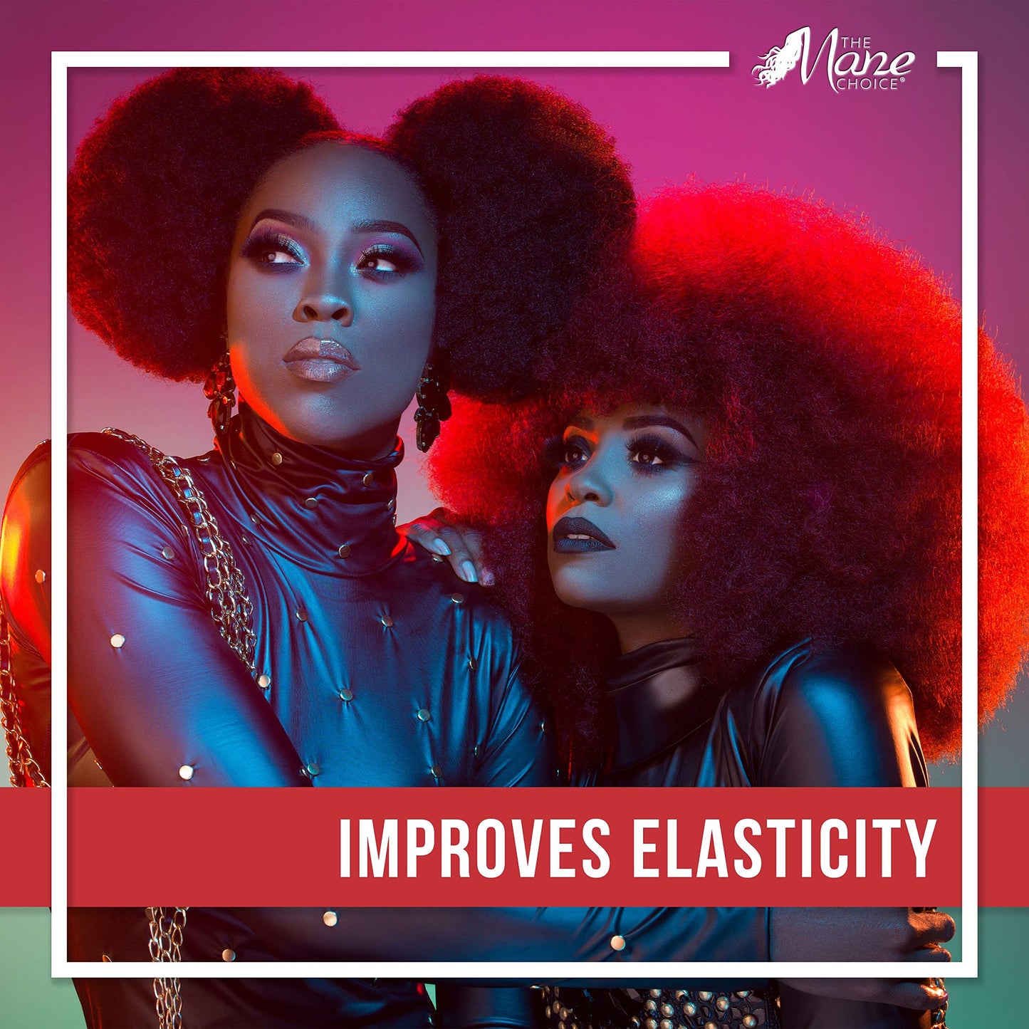 The Mane Choice le fait pour la culture magnifique masque miracle, 8 onces