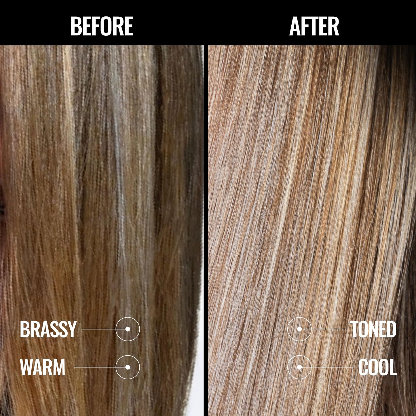 Pravana The Perfect Blonde Purple Toning Shampoo | Neutralizes Brassy, Yellow Tones | For Color-Treated Hair | Chromasilk Enhances Shine & Protection | Vegan, Paraben & Sulfate Free | 10 Fl Oz