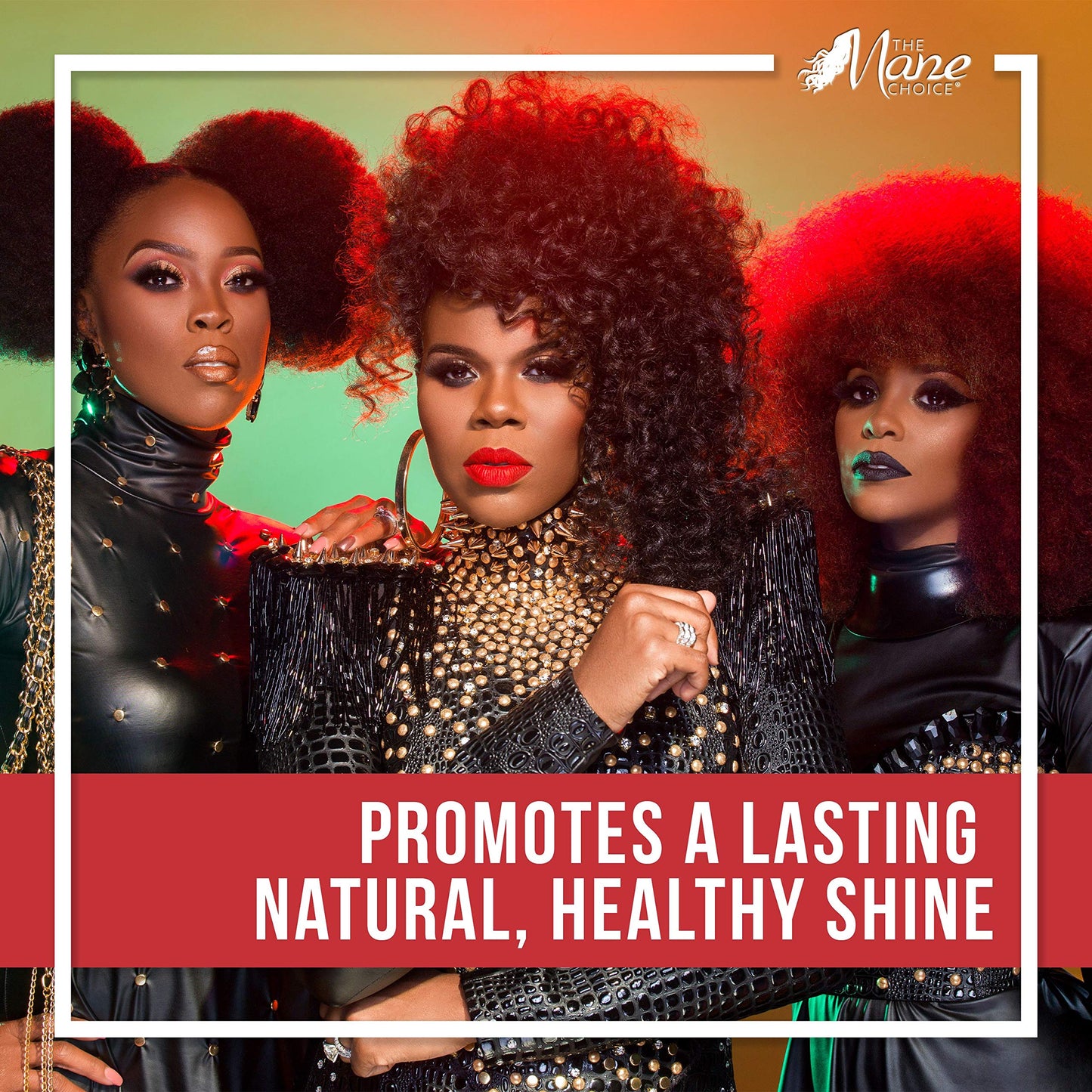 The Mane Choice le fait pour la culture magnifique masque miracle, 8 onces