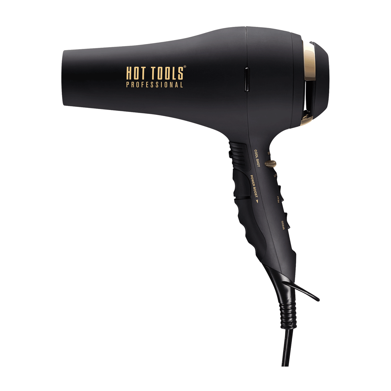 Helen of Troy Black Gold Ionic AC Motor Salon Dryer