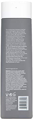 Living proof Perfect Hair Day Shampoo, 8 Fl Oz