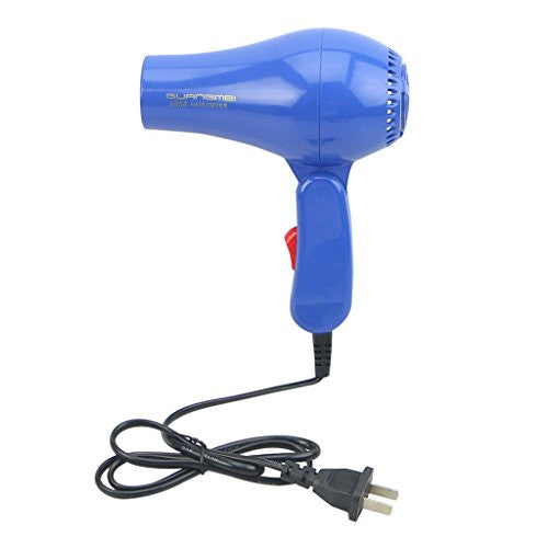 RingBuu Hair Dryer - AC 220V Hair Blow Dryer 850W Travel Hair Dryer Compact Blower Foldable Portable