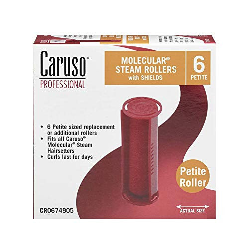 Caruso Model Professional Molecular Steam Rollers with Shields Petite 6 Count