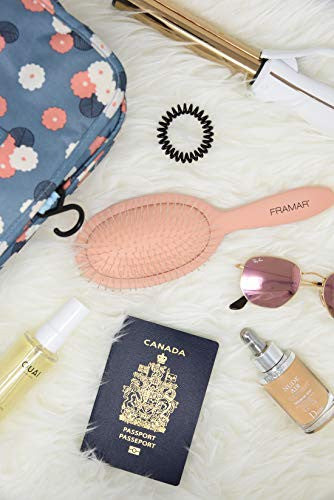 Framar 卷发顺发梳 – 女士顺发梳，女士发梳，卷发顺发梳，优雅顺发梳，儿童顺发梳（香槟色）