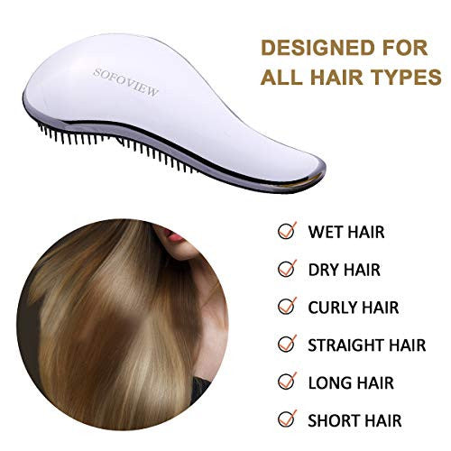 SOFOVIEW Ensemble de brosses à cheveux démêlantes, format voyage de poche + brosse professionnelle, peigne à cheveux coulissant, sans douleur, lissage et lissage doux, brosse domestique pour douche, cheveux mouillés ou secs, argent