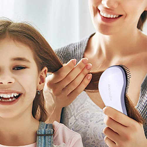 SOFOVIEW Ensemble de brosses à cheveux démêlantes, format voyage de poche + brosse professionnelle, peigne à cheveux coulissant, sans douleur, lissage et lissage doux, brosse domestique pour douche, cheveux mouillés ou secs, argent