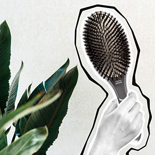 Olivia Garden Ceramic + Ion Supreme Paddle Hair Brush, Boar