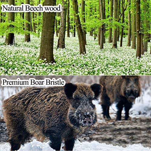 Messen Mini Boar Bristle Hair Brush Natural Beech Wood Handle Cushion Anti-static Massage Detangling-Hairbrush for Pocket/Makeup Bag/Travel/Gift for Kids and Adults (Style 2)